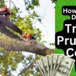 Understanding Tree Pruning Pricing: Factors That Influence Pricing